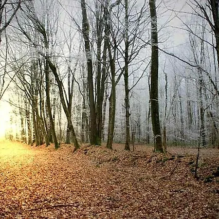 Domaine De Frevent Panzió